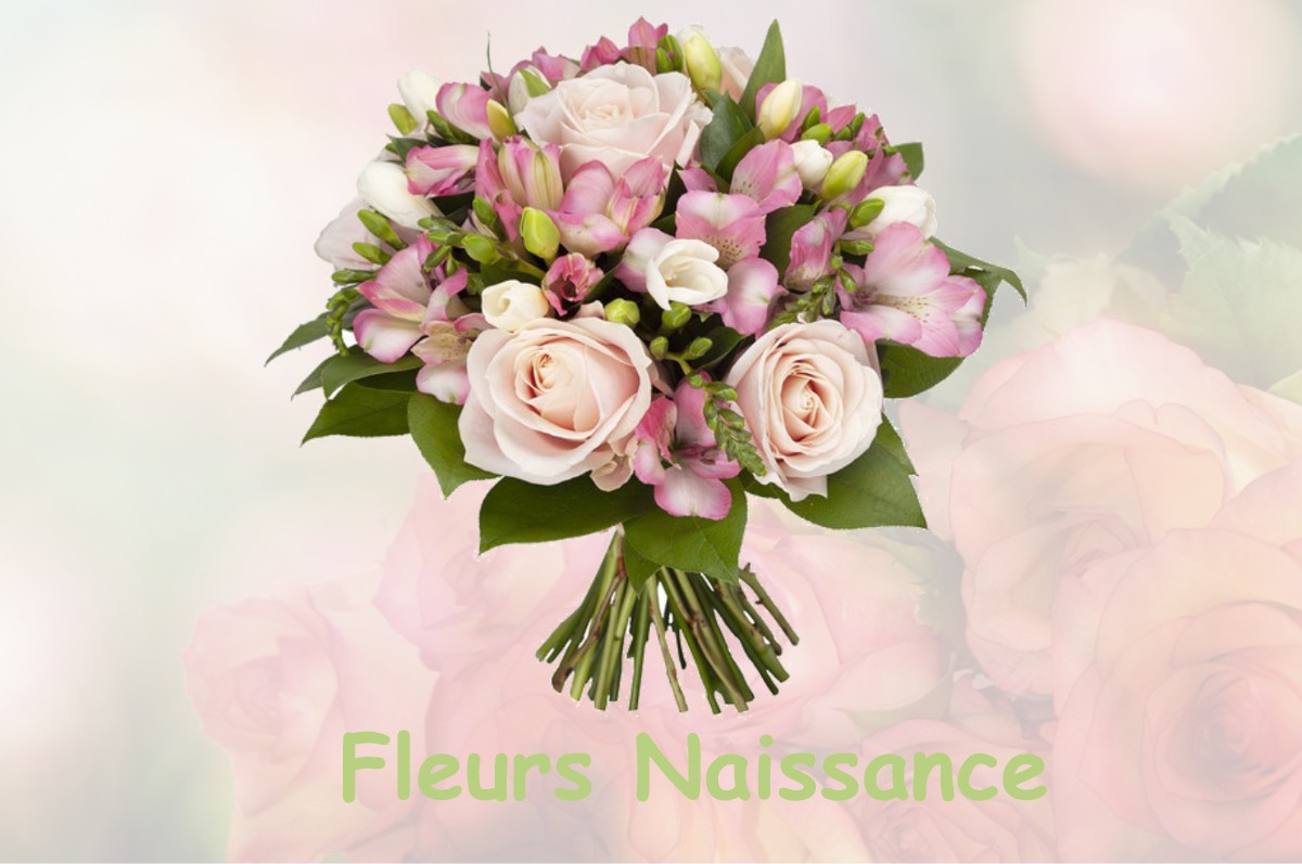 fleurs naissance VILLEMAGNE-L-ARGENTIERE