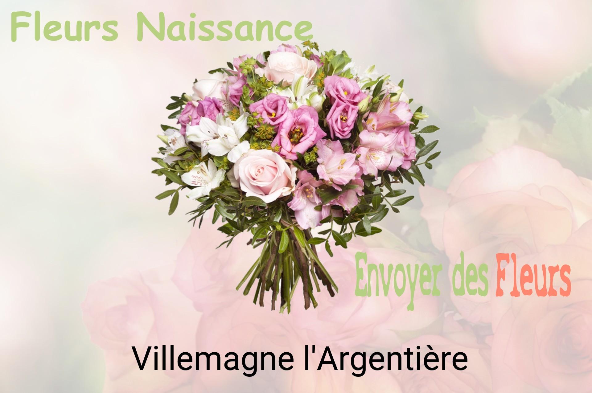 Bouquet de fleurs de naissance livré à Villemagne-l'Argentière