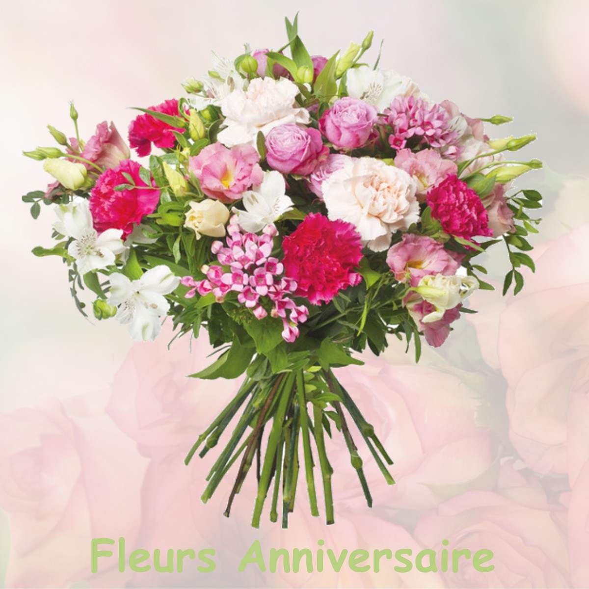 fleurs anniversaire VILLEMAGNE-L-ARGENTIERE