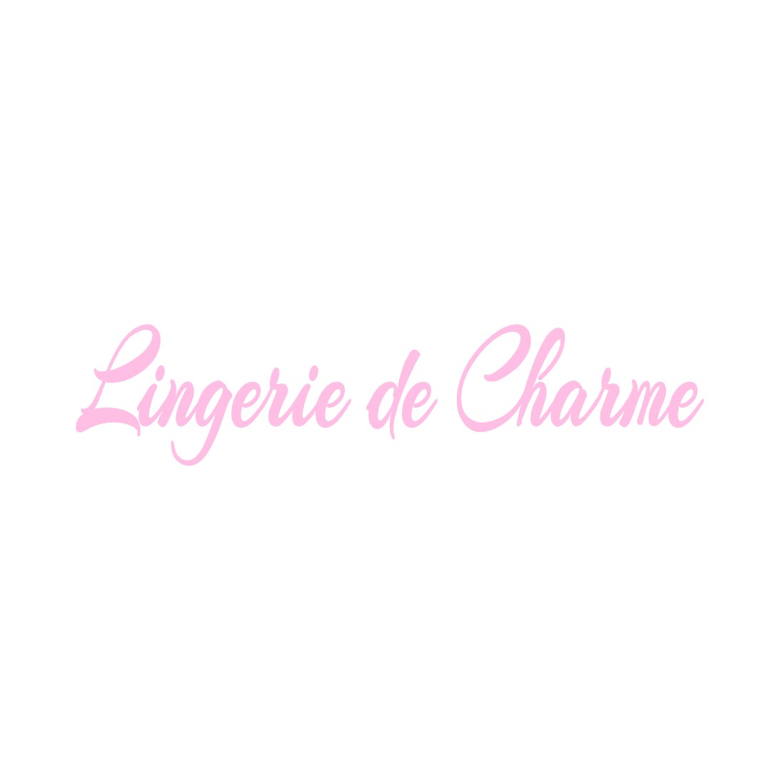 LINGERIE DE CHARME VILLEMAGNE-L-ARGENTIERE